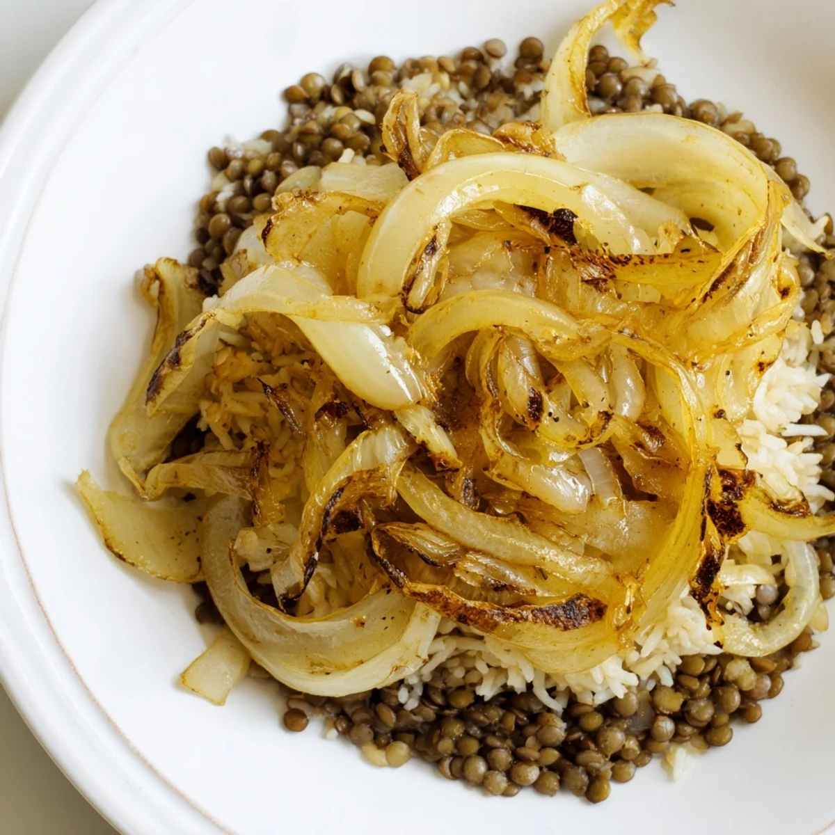 Fragrant, spiced Lebanese Mjadra with fluffy rice and tender lentils, ready to serve alongside a salad.